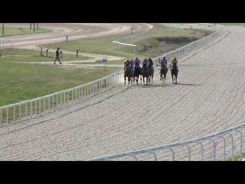 2022.04.17. 07. futam - GRÓF HUNYADY JÓZSEF EMLÉKVERSENY HENDIKEP (III.o.) II.rész (szintetikus)