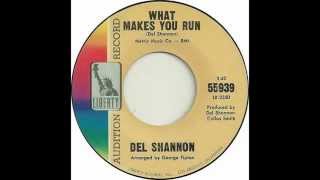 Del Shannon - What Makes You Run