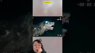 Download lagu Lihat‼️Ini bentuk putri duyung yg asli‼️ #shorts #ytkids #mermaid #putri #facts mp3 Download lagu Lihat‼️Ini bentuk putri duyung yg asli‼️ #shorts #ytkids #mermaid #putri #facts mp3