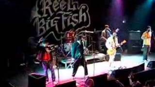 Another Day in Paradise-Reel Big Fish!
