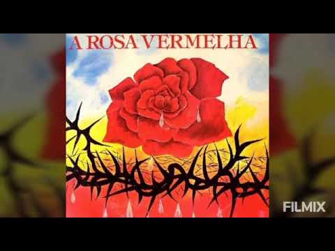 Jesus é o lírio dos vales,a rosa de Sarom