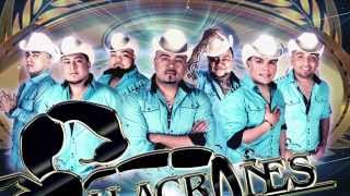 ALACRANES MUSICAL 2013 2014 AM TV LA SUERTE/GET LUCKY