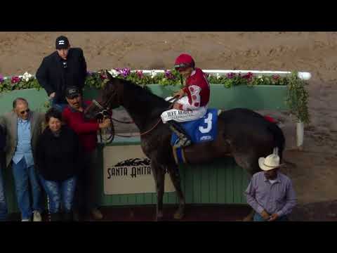 HOUSTON LADIES CLASSIC 2019