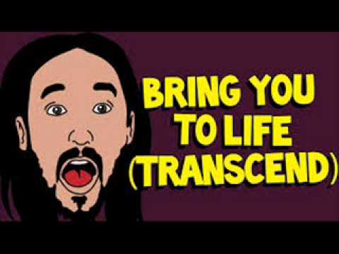 Steve Aoki feat. Rune RK and Ras-Bring you to life(transced)