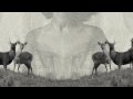 ARKTIKA "symmetry" album-teaser 