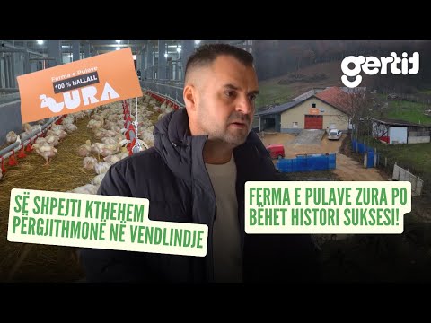 Gurbetqari investon 200 mijë euro në fermën e zogjëve të pulave në Kosovë | Histori të Jetes