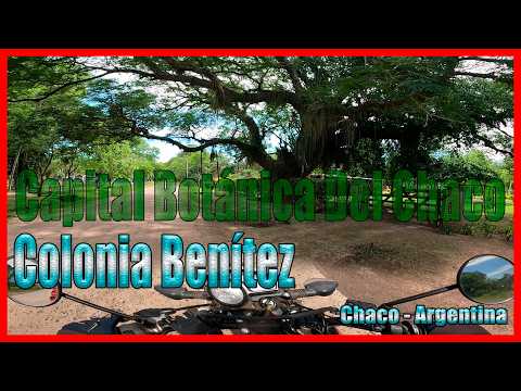 Recorriendo Colonia Benítez, Entre Naturaleza Y Calma