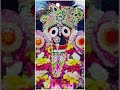 Jagannath Ahe Jagannath Odia Bhajan Status Bhajan Status Odia Bhajan Bhajan Song