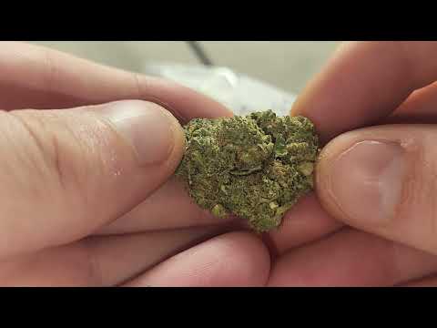 Venom Og Strain Allbud