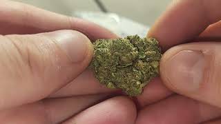 Myquin's/Puffy's Venom OG strain Review (Budget oz's $50-$100)