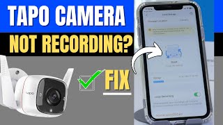 Tapo C310 Not Recording