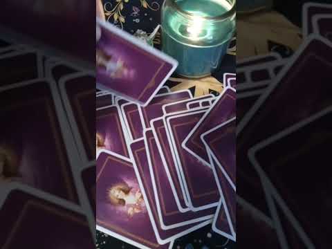 Cosa vogliono dirti oggi gli Angeli ❤️ #crescitaspiritualità #angelicmessages #angelocustode #angeli