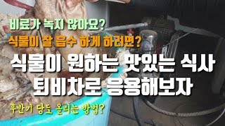 퇴비차응용하기 퇴비차액비 만드는방법 인산가리 및 비료 쉽게 녹이는 방법 식물이 흡수하기 쉽게 만들어줘요
