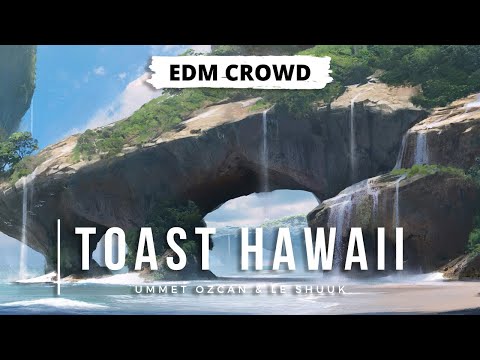 Ummet Ozcan & Le Shuuk - Toast Hawaii (Original Mix)