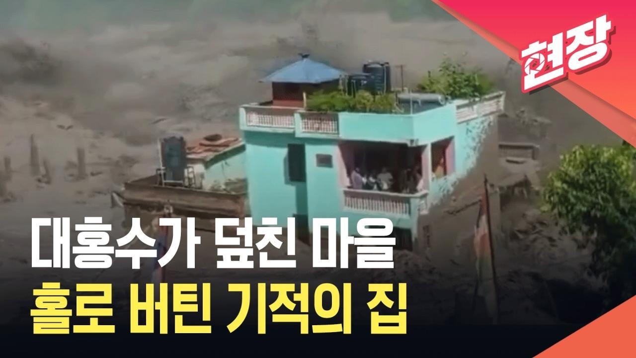 초록색 집💜