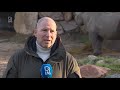 Zo reageren Diergaarde Blijdorp en Avonturenboerderij Molenwaard op de nieuwe coronamaatregelen