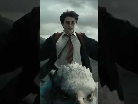 Beauty of Harry Potter | Wizarding World | Carol of the bells