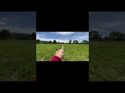 PARCELAS A MINUTOS DEL CENTRO DE LANCO, REGION DE LOS RIOS.