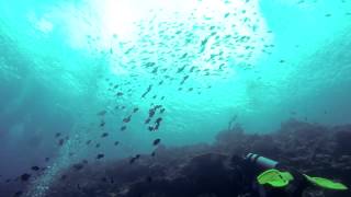 preview picture of video 'Manado Dive Trip  (July 05~07, 2013) with Indonesian Traveler'