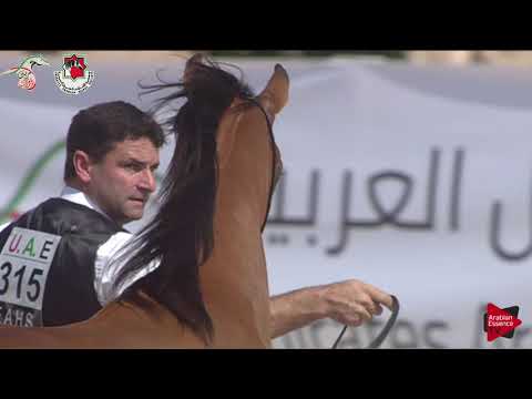 N 315 AJ RASLAN   Emirates AHBC