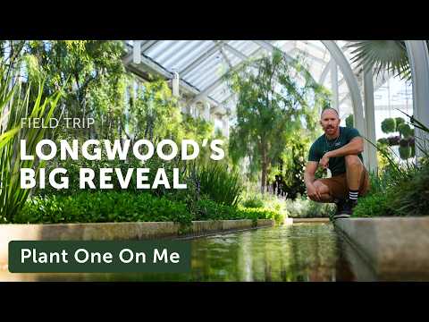 Tour LONGWOOD'S Mediterranean-Inspired WEST CONSERVATORY — Ep. 432