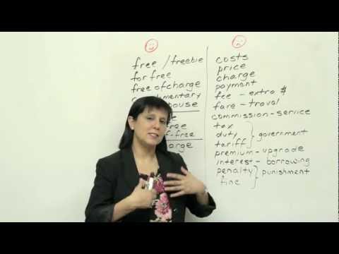 Professional English How to talk about your career