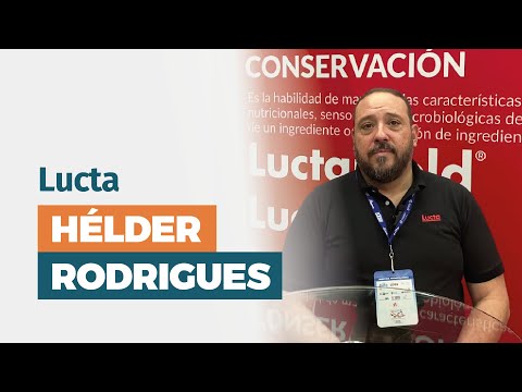 Lucta - Hélder Rodrigues