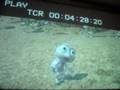 Dubbing A Bug S Life Into Spanish 3