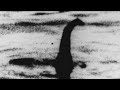 Loch Ness Monster: Fossil discovery creates questions
