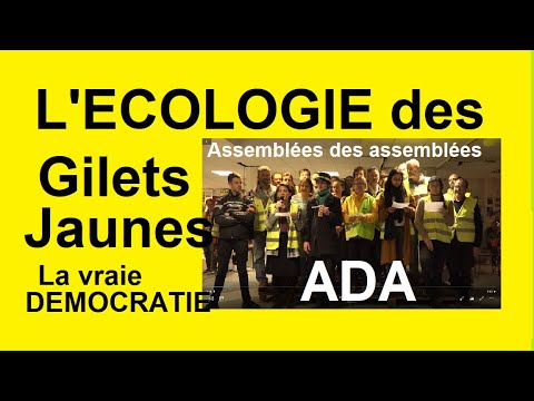 The yellow vests invite to ecological change : let's attack the current system !