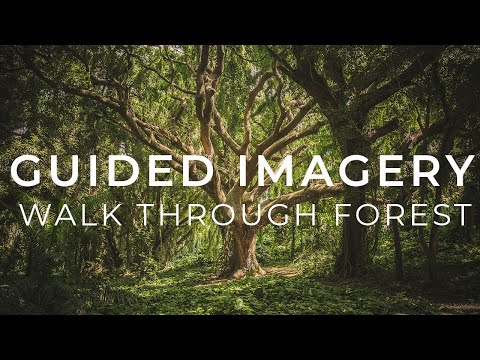 Guided Imagery - Walk Through Forest