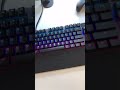 Shorts Apex Pro Tkl Stays Undefeated Steelseries