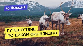 Как путешествовать по дикой Финляндии: учимся у финнов любви к природе и самоиронии