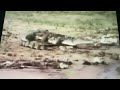 Sesame Street Animal Films The Crocodile