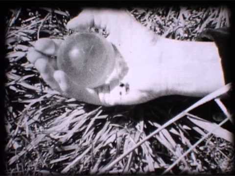 WENDY RULE - Penelope (Official Music Video)