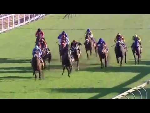 2015.07.18 The Mercury Sprint (RSA) - Captain of All