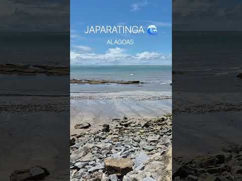 🌊 JAPARATINGA, fica em Alagoas #japaratinga #alagoas #praia #nordeste #viagem #turismo #shorts #sol