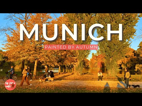 Munich in Autumn | A Walk Covered in Golden Leaves