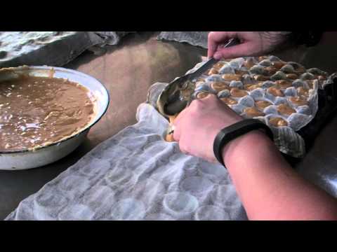 タイ研修2014 09 砂糖工場2