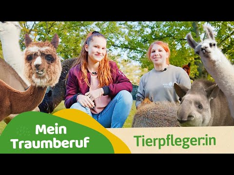 Tiere hautnah: Die Welt der TierpflegerInnen l Kinderdoku