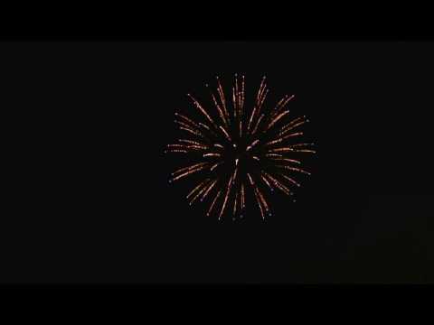 PSHP 4012   100mm Shell   Corolla to Blue with Blue Pistil