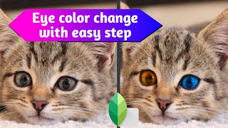 How to change eye color in snapseed | snapseed editing | mobile editing
