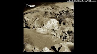 Pram-Moonminer