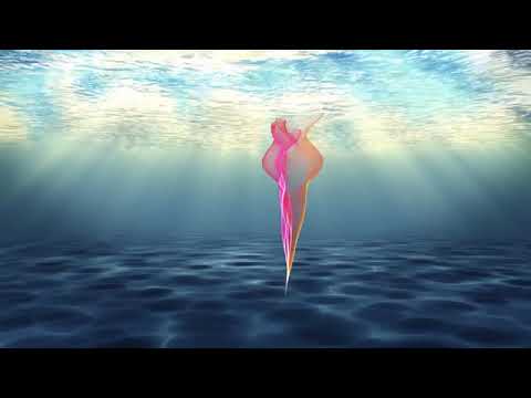 Heilende Frequenzen ☆Zellregeneration ☆Verjüngung ☆Heilung