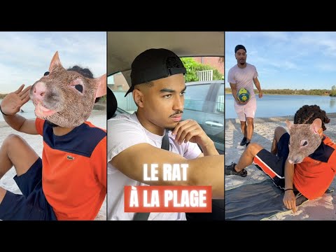 THE RAT - GO TO THE BEACH WITHOUT SPENDING A EURO