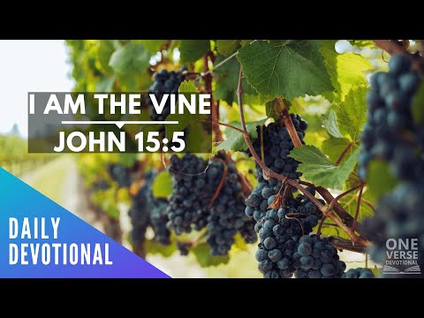 I AM the Vine | John 15:5 [Daily Devotional]