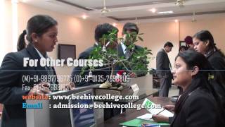 preview picture of video 'Beehive College Advertisement 2010'