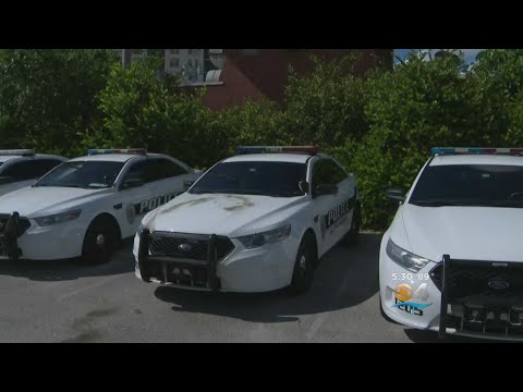 Wilton Manors Police Investigate Molotov Cocktail Thrown At Police Cruiser