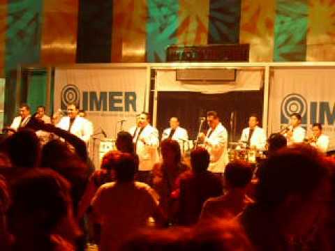 LOS GATOS NEGROS DE TIBERIO MIX CLASICO "CARMENZA,YOLANDA"