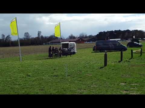 Fahrturnier Greffen 10.4.2022